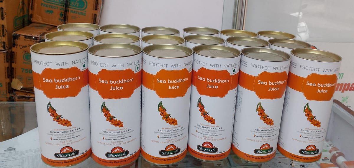 Rows of sea buckthorn juice cans on a shelf