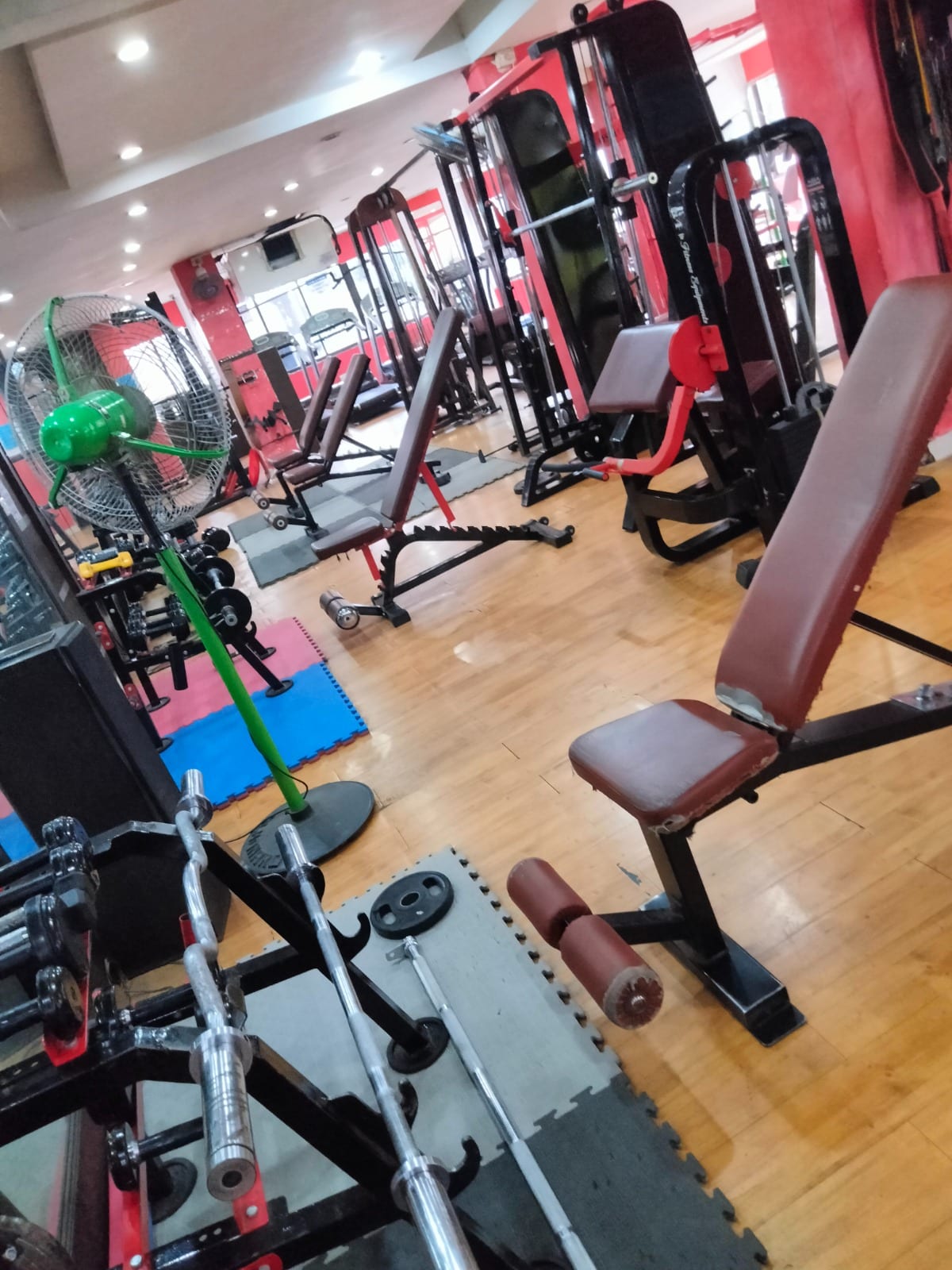 Weight-training machines, benches, barbells and mats inside the Passion Club gym floor