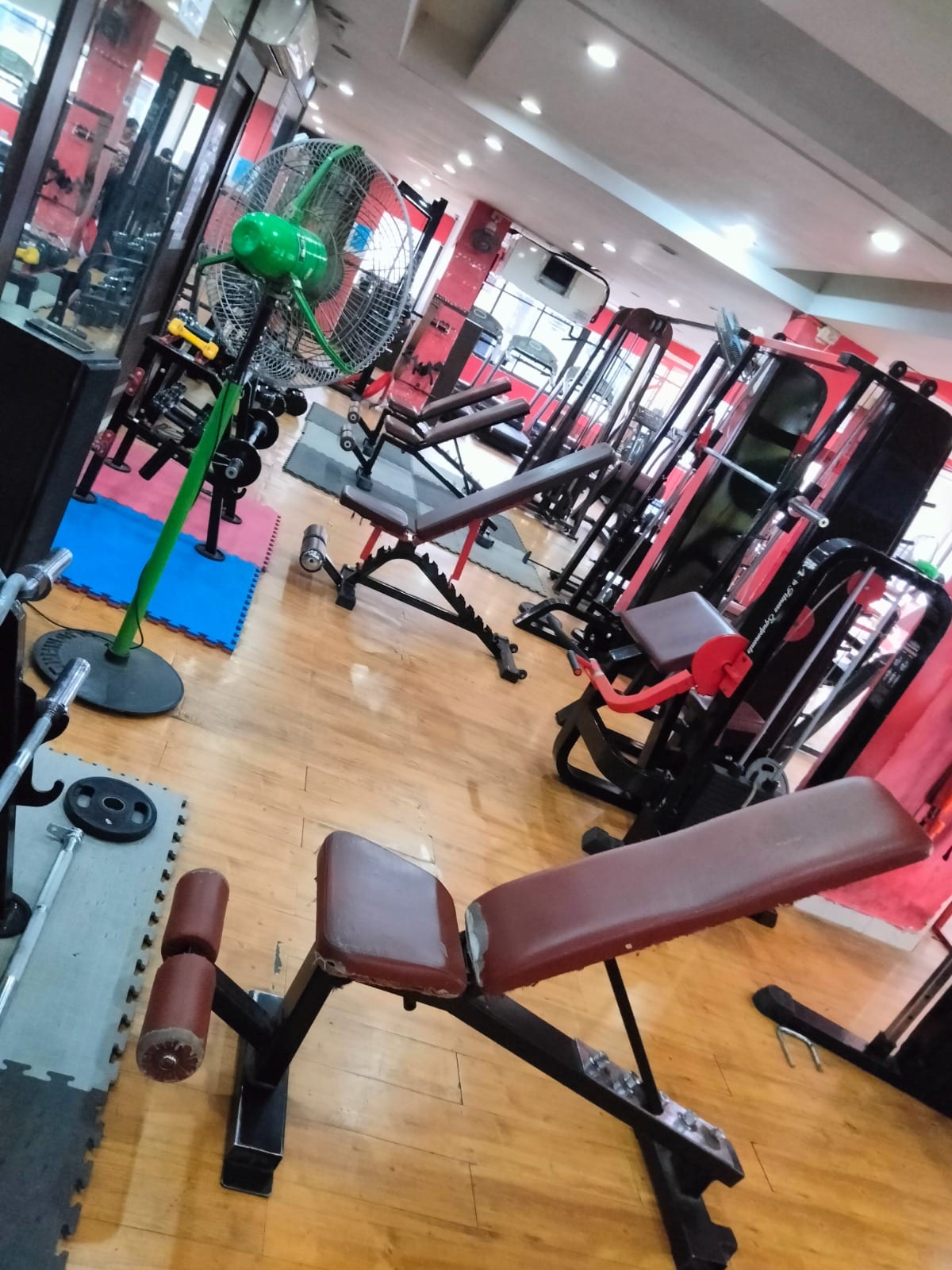 Spacious gym interior with weight machines, benches, dumbbells and a standing fan at Passion Club