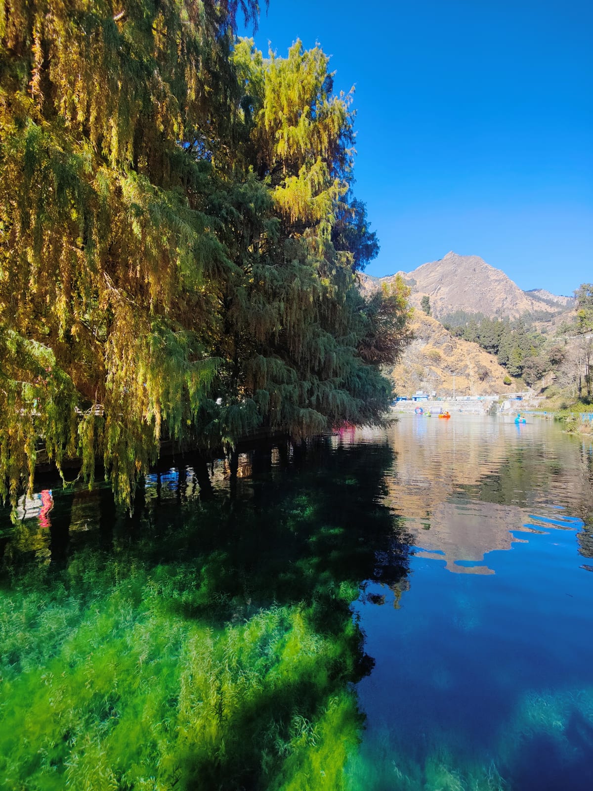 Tree-lined calm lake with distant mountains reflected in the water